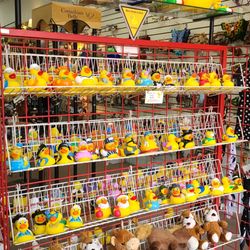 Quacker Gift Shop - 07-09-2022