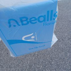 Bealls Department Store