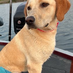 Southside Veterinary Clinic - Fishing with mama.