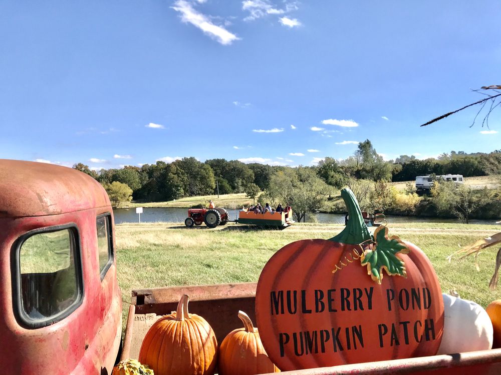 Mulberry Pond Logo