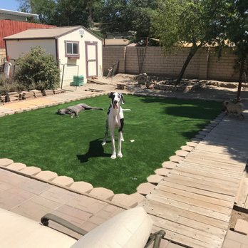 Turf the Earth - Pooches enjoying! Thank you! - Artificial Turf Near Me Turf the Earth - Pooches enjoying! Thank you! - Artificial Turf Near Me
