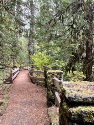 Sahalie Falls by null