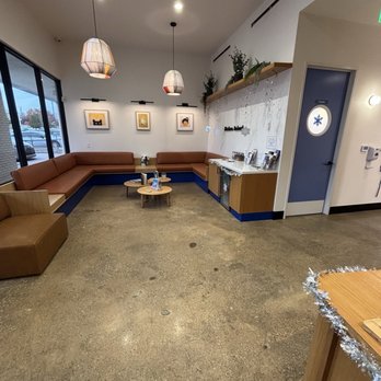 Modern Animal Addison - Veterinarians Near Me - Dallas, Texas Modern Animal Addison - Veterinarians Near Me - Dallas, Texas