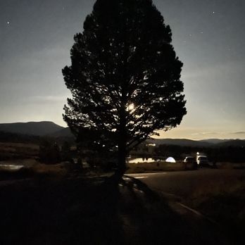 Tim’s Top Notch Tree Services - Tree Services Near Me Tim’s Top Notch Tree Services - Tree Services Near Me