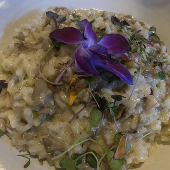 Bel Mare - Mushroom risotto cooked perfectly. - Italian Near Me - Key West, Florida