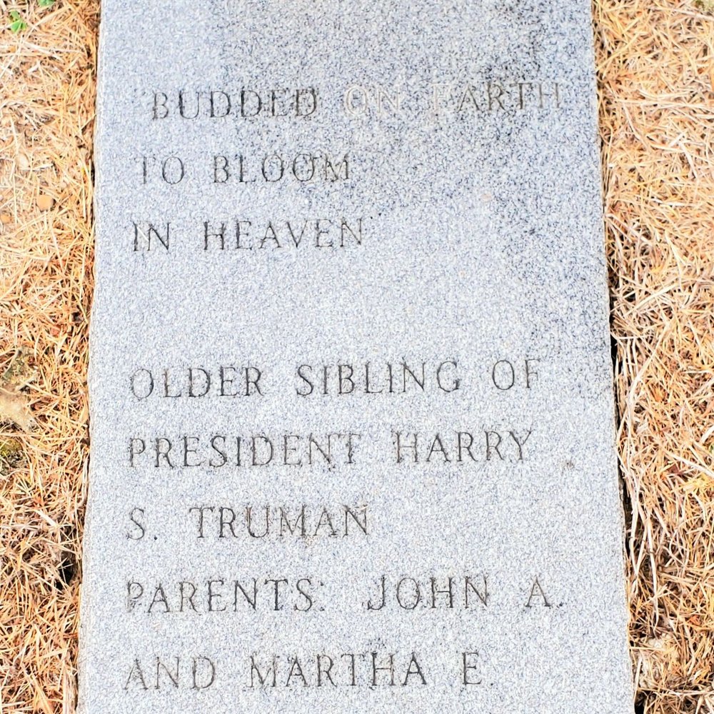 Meander and Gander: Vice President Graves, image size:1000x1000