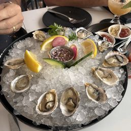 Oysters on point! Fresh horseradish yum! Oysters on point! Fresh horseradish yum!
