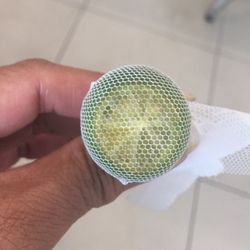 Perfect Loaf - Clever way to keep the seeds out of your food
