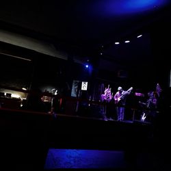 The Chainsaw Cat - Live music