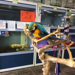 Wet Kisses Pet Company - What a friendly and fun store! Great small business and friendly people!