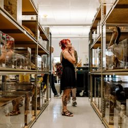 San Diego Natural History Museum - Nature to You Loan Library