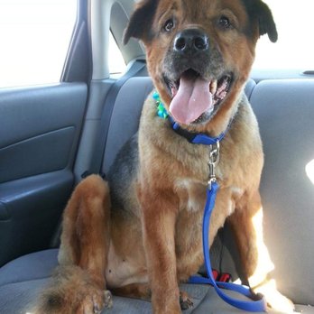 Caring Pet Crematory - We love you baby girl. - Pet Cremation Services Near Me - Sacramento, California Caring Pet Crematory - We love you baby girl. - Pet Cremation Services Near Me - Sacramento, California