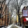 Photo of Cherry Lane Theatre