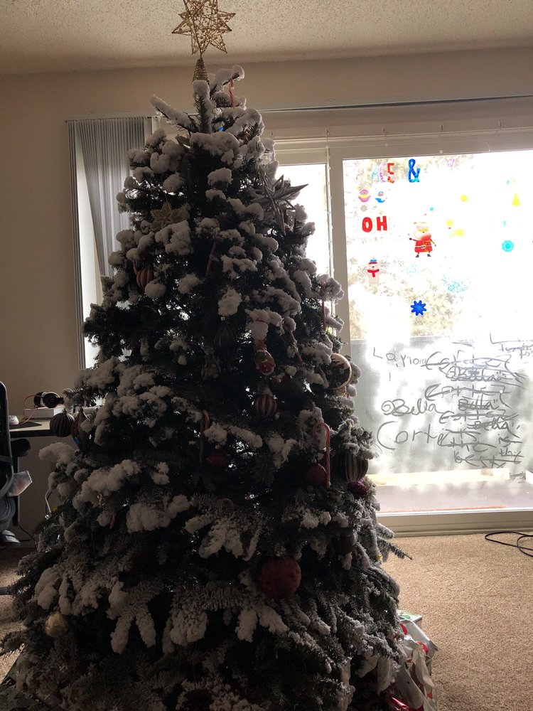 WILLOW LAKE APARTMENTS Updated August 2024 3002 S 208th St, Seatac