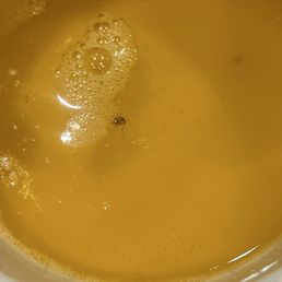 Baby roach floating in the butter. Baby roach floating in the butter.