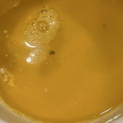 Jumbo Seafood Buffet - Baby roach floating in the butter.