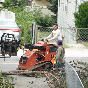 Antonio Tree Service - Tree Services Near Me - Elmont, New York