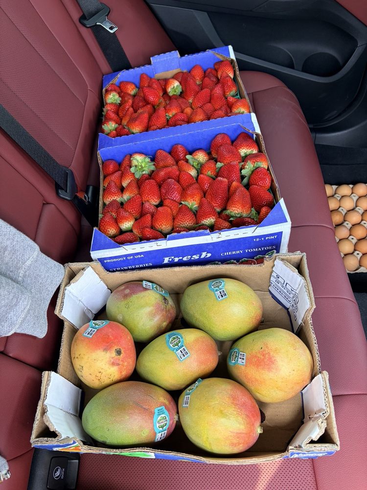 Immokalee Produce Center Logo