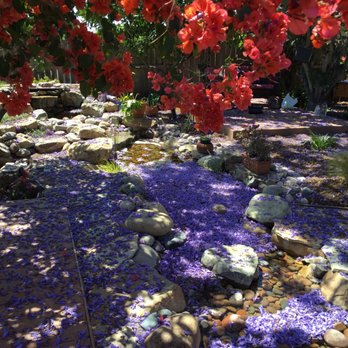 Pacific Dreamscapes - Pondless waterfall back left with stream in foreground, in Jacaranda blossom season. - Landscaping Near Me - La Mesa, California Pacific Dreamscapes - Pondless waterfall back left with stream in foreground, in Jacaranda blossom season. - Landscaping Near Me - La Mesa, California