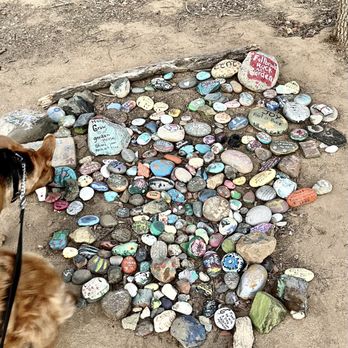 Los Jilgueros Preserve - Pups checking out the Fallbrook rock garden. - Parks Near Me - Fallbrook, California Los Jilgueros Preserve - Pups checking out the Fallbrook rock garden. - Parks Near Me - Fallbrook, California
