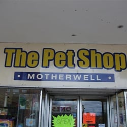 The Pet Shop