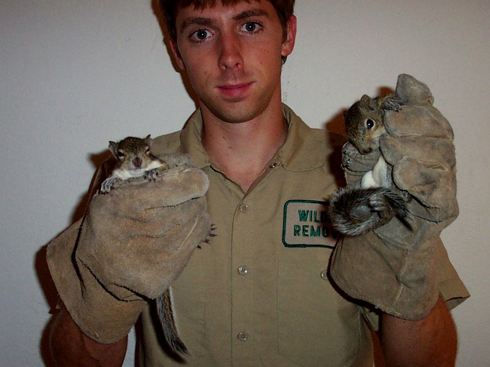 WILDLIFE PEST CONTROL YOLO COUNTY 28 Photos Woodland, California