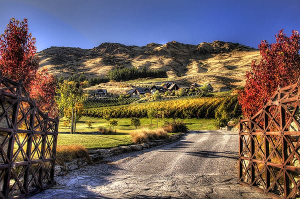 Stoneridge Estate Queenstown by null