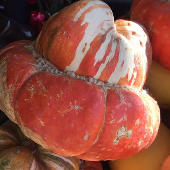 Boney's Bayside Market - Acorn Squash - Grocery Near Me - Coronado, California Boney's Bayside Market - Acorn Squash - Grocery Near Me - Coronado, California