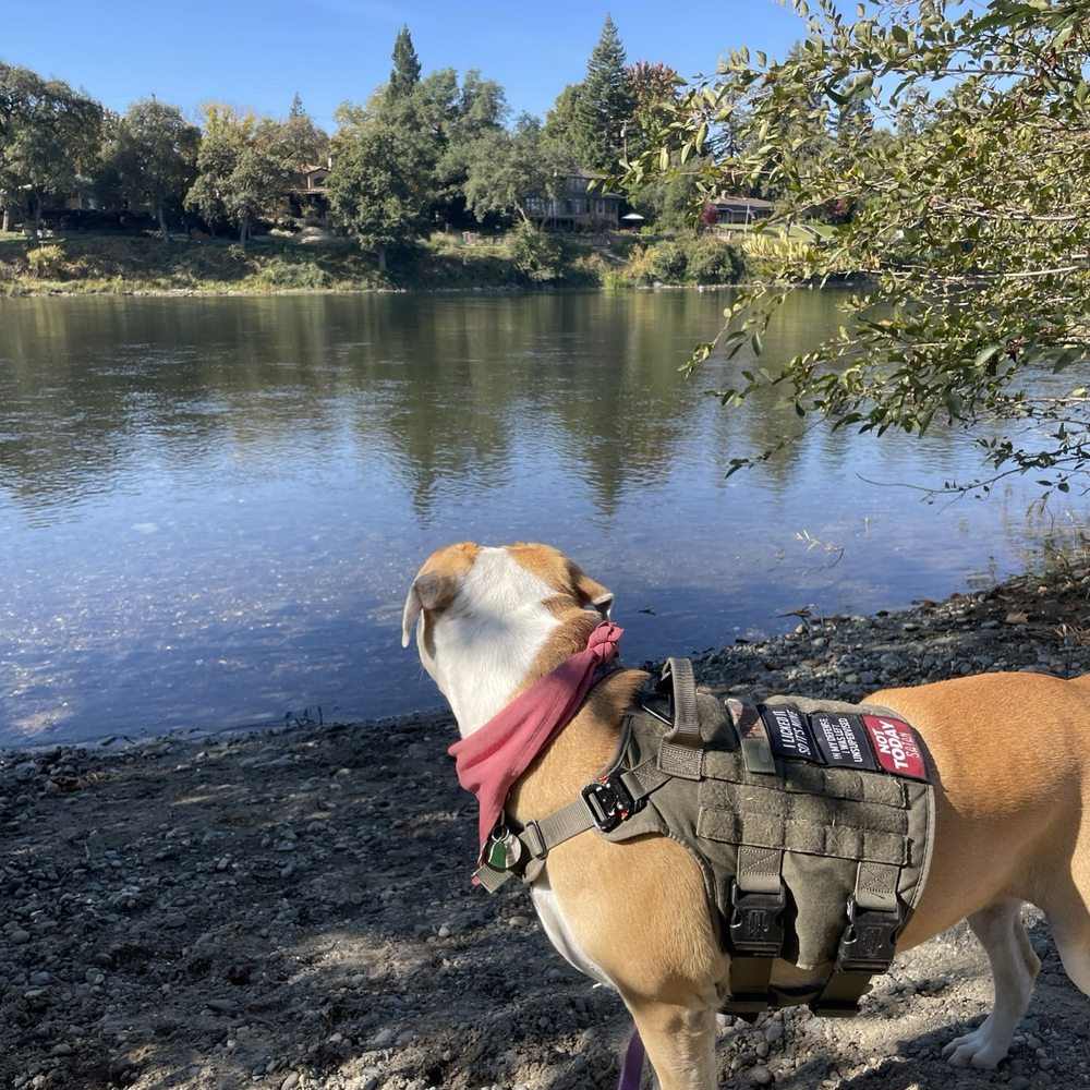 River Bend Park - Parks Near Me - Rancho Cordova, California River Bend Park - Parks Near Me - Rancho Cordova, California