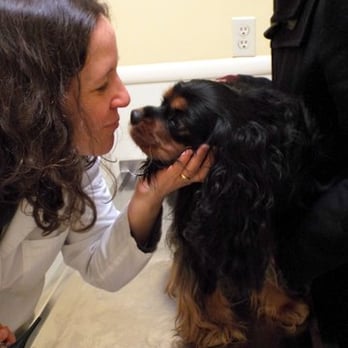 Parkview Animal Hospital - Dr. Kahn getting some love from Jaime. - Veterinarians Near Me - Passaic, New Jersey Parkview Animal Hospital - Dr. Kahn getting some love from Jaime. - Veterinarians Near Me - Passaic, New Jersey