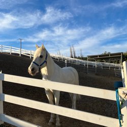 Vista Del Mar Ranch - Paddock and Cynder