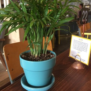 Public Square - Decoration - Coffee & Tea Near Me - La Mesa, California