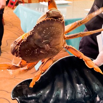 Kirin Restaurant - (Photo/Video by Ins@foodie.skye) - Seafood Near Me - Honolulu, Hawaii Kirin Restaurant - (Photo/Video by Ins@foodie.skye) - Seafood Near Me - Honolulu, Hawaii