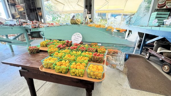 The Fruit Bowl by null