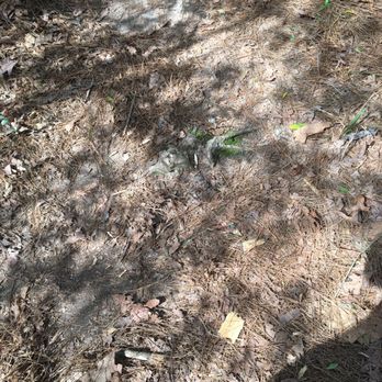 John Burge Park at Shadow Lakes - Hazard - Parks Near Me - Conroe, Texas