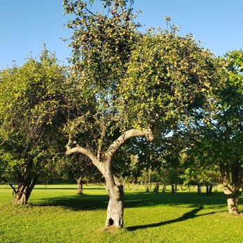 Amherst State Park - Dog Parks Near Me - Buffalo, New York