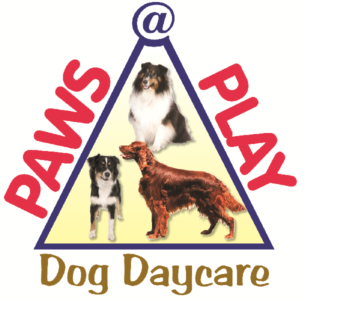 Paws at Play Dog Daycare - pet boarding facility in North Tonawanda, NY