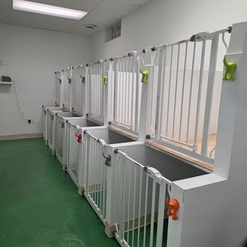 Yodi Inn - Our standard Kennel - Pet Boarding Near Me - Des Moines, Iowa Yodi Inn - Our standard Kennel - Pet Boarding Near Me - Des Moines, Iowa