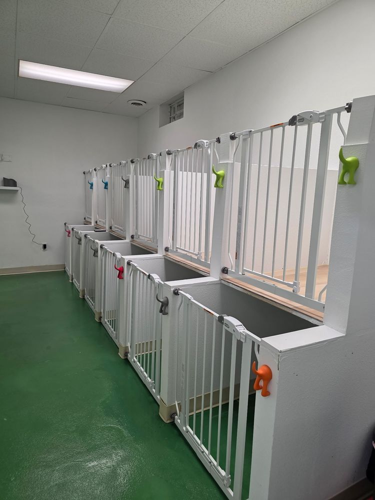 Yodi Inn - pet boarding facility in Des Moines, IA