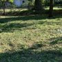 Lovely Lawn Care