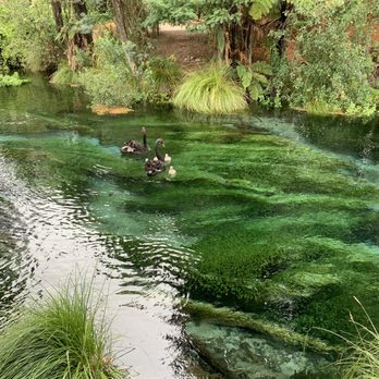 Real Rotorua - Tours Near Me - Rotorua, BOP Real Rotorua - Tours Near Me - Rotorua, BOP
