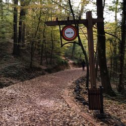 Belgrad Ormanı