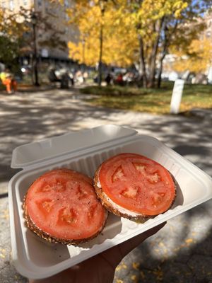Apollo Bagels by null