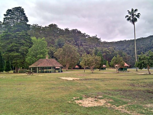 Ku-ring-gai Chase National Park by null