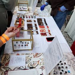 SF Cheese Fest - 2024 event (vendors/chocolate)