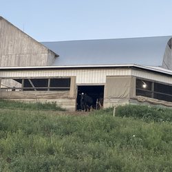 The Wallhouse Hotel, Ascend Hotel Collection - Farm near hotel