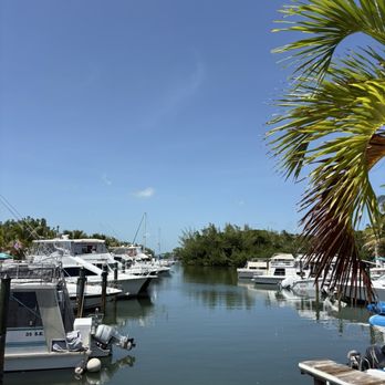 Lorelei Restaurant & Cabana Bar - Seafood Near Me - Islamorada, Florida Lorelei Restaurant & Cabana Bar - Seafood Near Me - Islamorada, Florida
