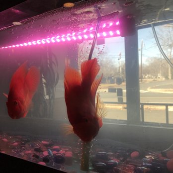 Fortune Cookies - Not on the menu lol - Chinese Near Me - Bridgewater, New Jersey