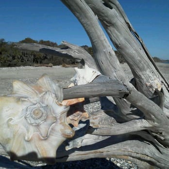Botany Bay Plantation - Parks Near Me - Edisto Island, South Carolina