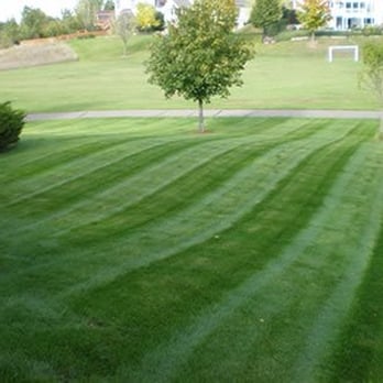 LR Lawns - a view of a green lawn - Landscaping Near Me - Andover, Minnesota LR Lawns - a view of a green lawn - Landscaping Near Me - Andover, Minnesota